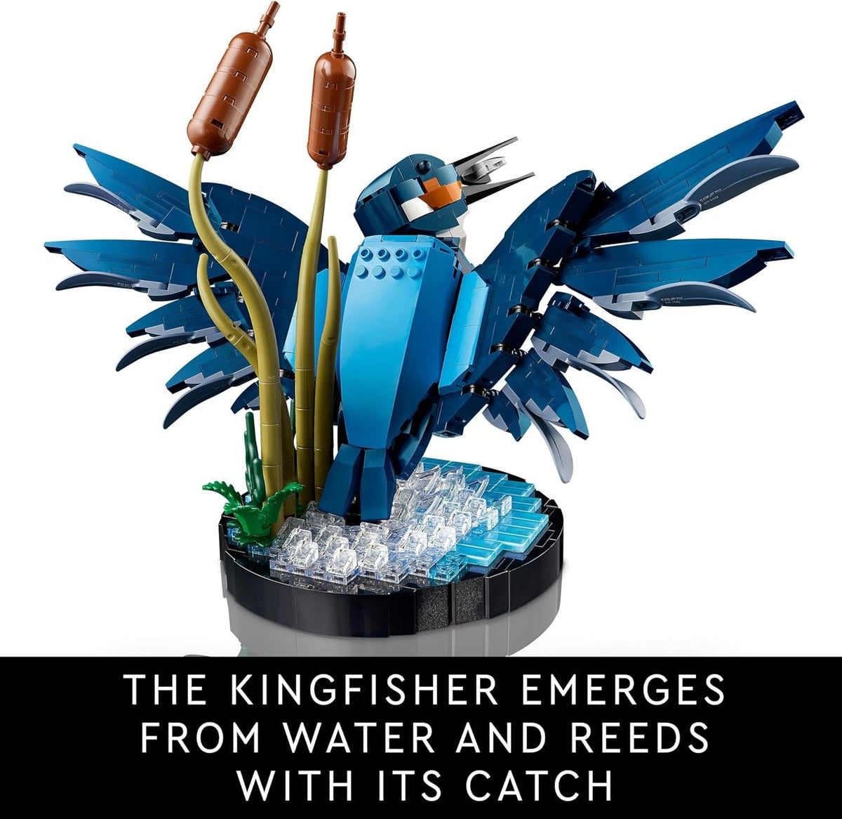 Icons Kingfisher Bird Set, Model Building Kit for Adults to Build with Water Setting Display Stand, Great Home and Office Desk Décor, Valentine'S Day Gifts for Women, Men, Her or Him, 10331