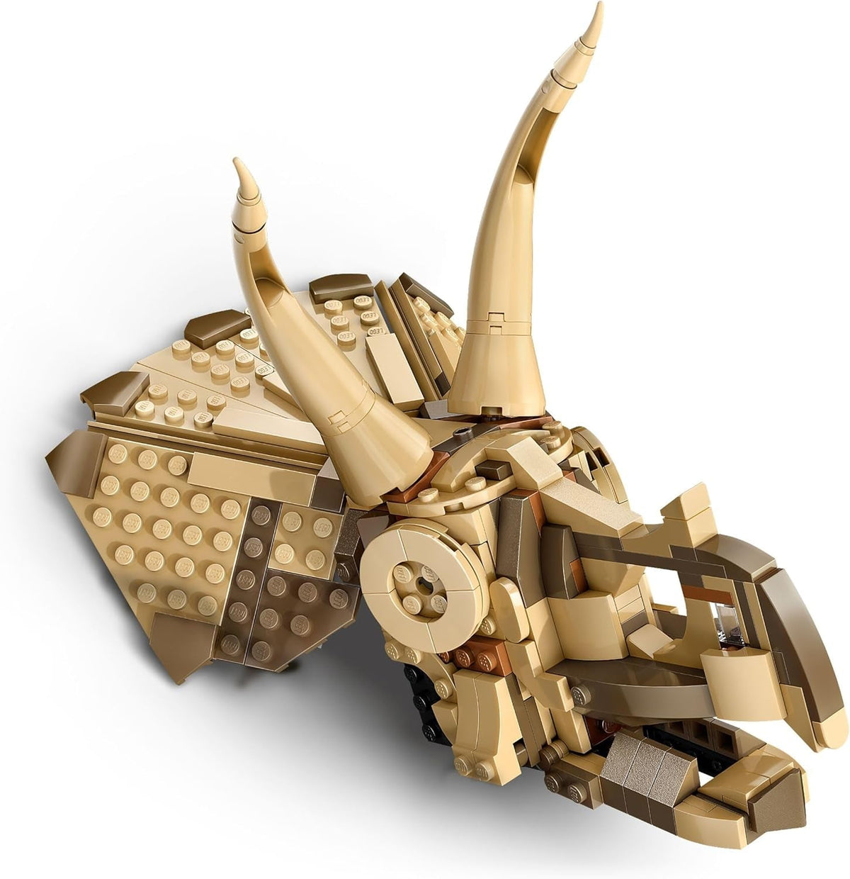 Jurassic World Dinosaur Fossils: Triceratops Skull Model, Dinosaur Toy for 9+ Year Old Boys & Girls, with Opening Jaw & Display Stand, Birthday Gift Idea 76969
