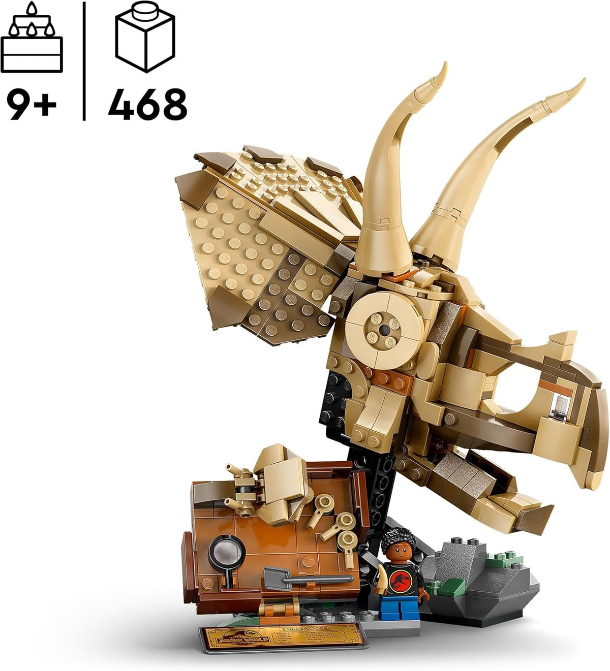 Jurassic World Dinosaur Fossils: Triceratops Skull Model, Dinosaur Toy for 9+ Year Old Boys & Girls, with Opening Jaw & Display Stand, Birthday Gift Idea 76969