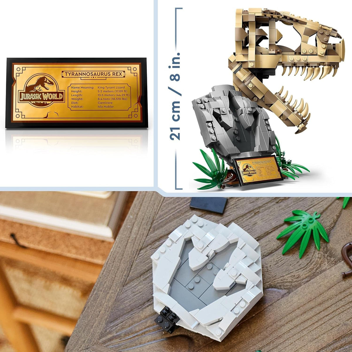 Jurassic World Dinosaur Fossils: T. Rex Skull Toy for 9 plus Year Old Boys, Girls & Kids, 3D Skeleton Model Kit with Opening Jaw and Display Stand, Makes a Cool Dino Decoration, Gift Idea 76964