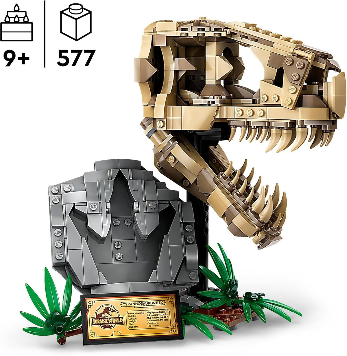 Jurassic World Dinosaur Fossils: T. Rex Skull Toy for 9 plus Year Old Boys, Girls & Kids, 3D Skeleton Model Kit with Opening Jaw and Display Stand, Makes a Cool Dino Decoration, Gift Idea 76964