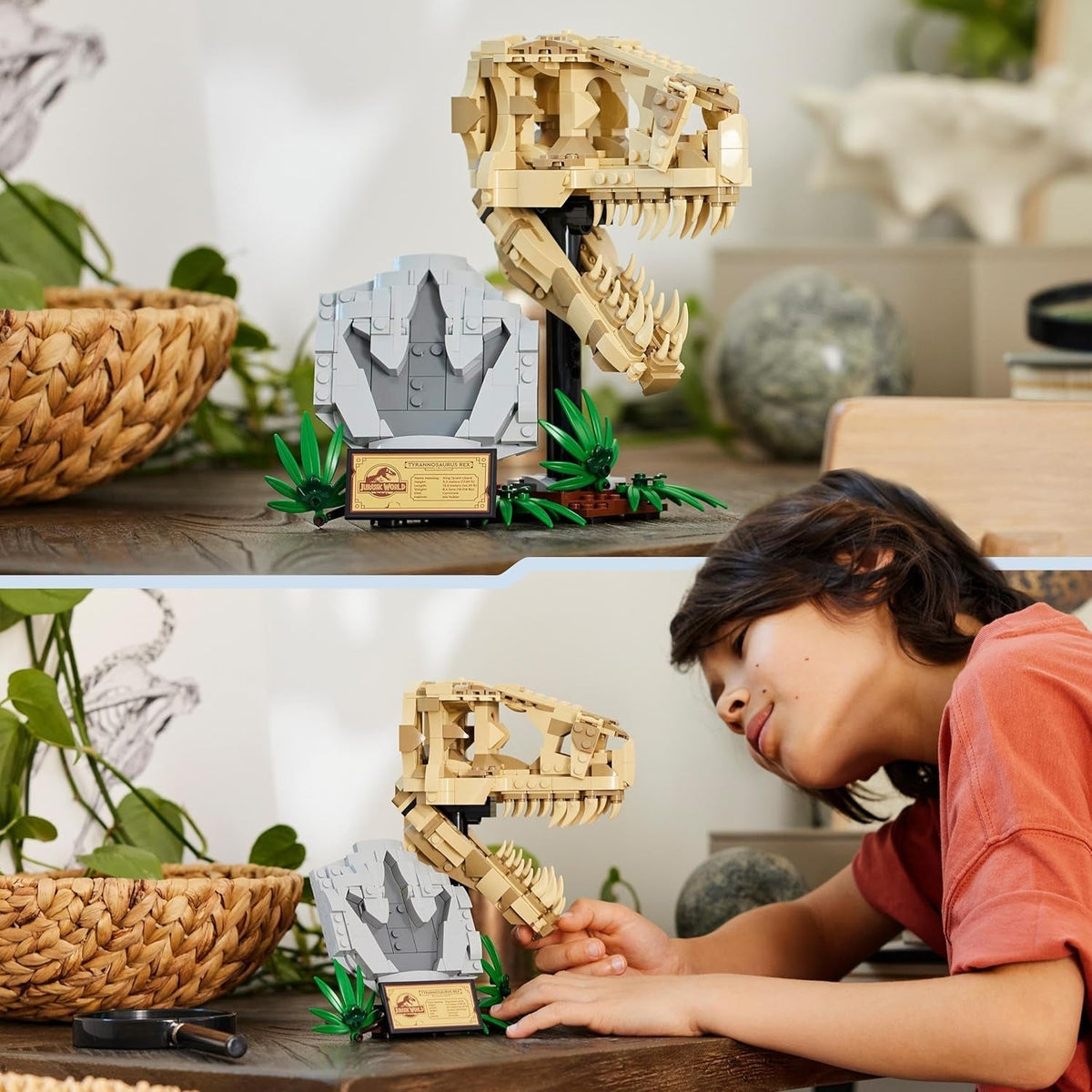 Jurassic World Dinosaur Fossils: T. Rex Skull Toy for 9 plus Year Old Boys, Girls & Kids, 3D Skeleton Model Kit with Opening Jaw and Display Stand, Makes a Cool Dino Decoration, Gift Idea 76964