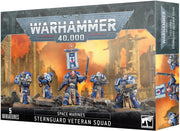 '- Warhammer 40,000 - Space Marines: Sternguard Veteran Squad (2023 Edition)