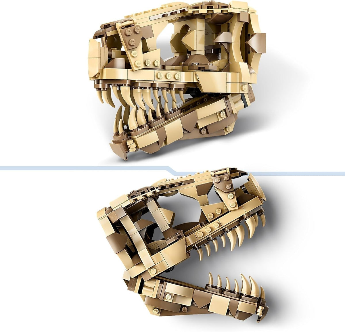 Jurassic World Dinosaur Fossils: T. Rex Skull Toy for 9 plus Year Old Boys, Girls & Kids, 3D Skeleton Model Kit with Opening Jaw and Display Stand, Makes a Cool Dino Decoration, Gift Idea 76964