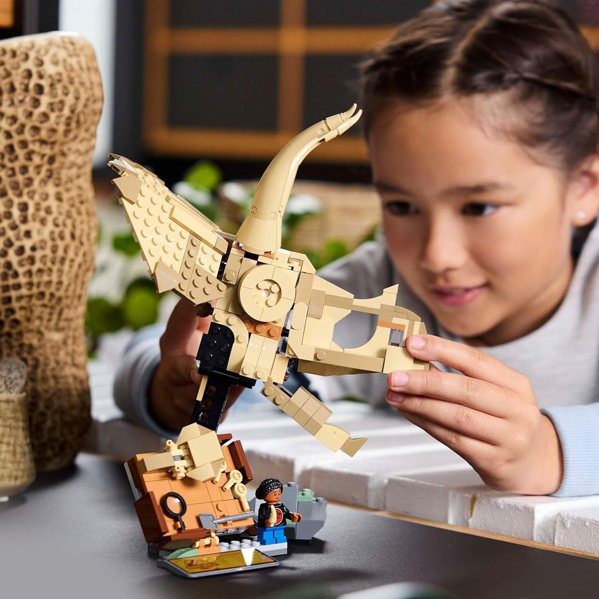 Jurassic World Dinosaur Fossils: Triceratops Skull Model, Dinosaur Toy for 9+ Year Old Boys & Girls, with Opening Jaw & Display Stand, Birthday Gift Idea 76969